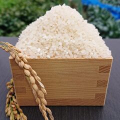 お米を美味しく保存する方法