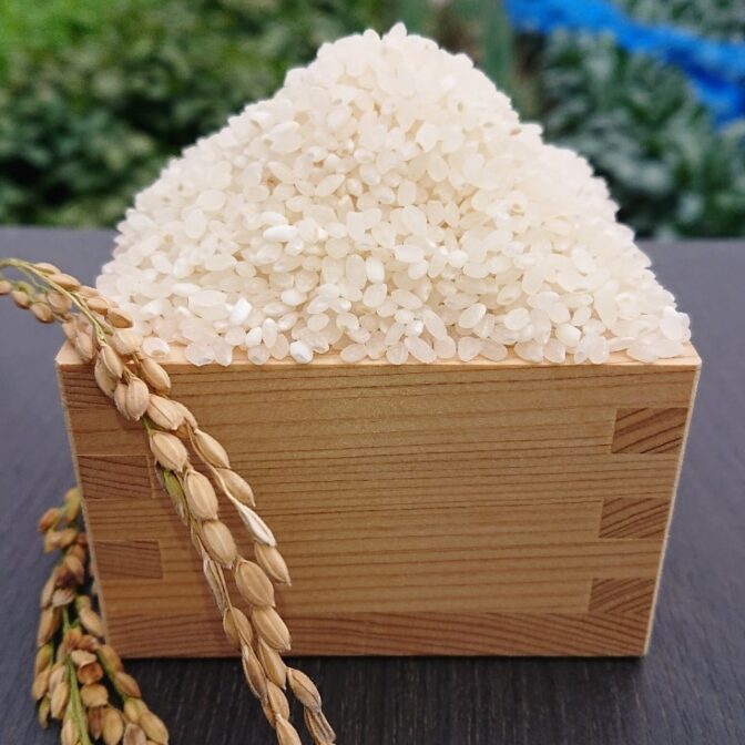 平賀の里について