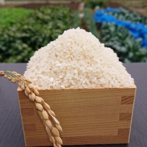 【お試し価格・送料含む】新米コシヒカリ「平賀の風」