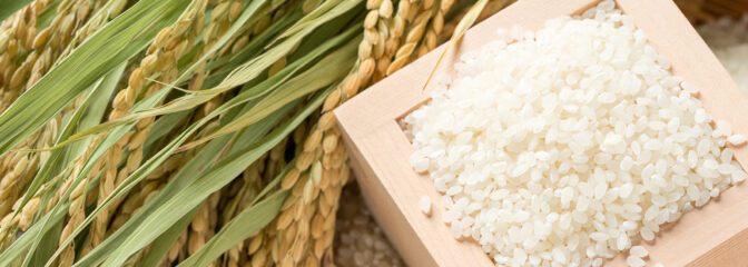 おかずが引き立つ自慢のお米特集