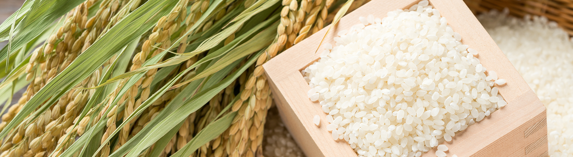 おかずが引き立つ自慢のお米特集